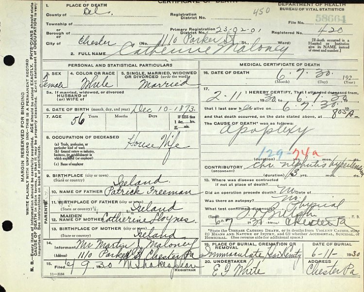 Catherine Kate Freeman Maloney - Death Certificate.jpg - 1930 Death certificate for Catherine Maloney (1873-1930)